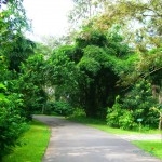 coorg (7)