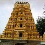 mysore (4)
